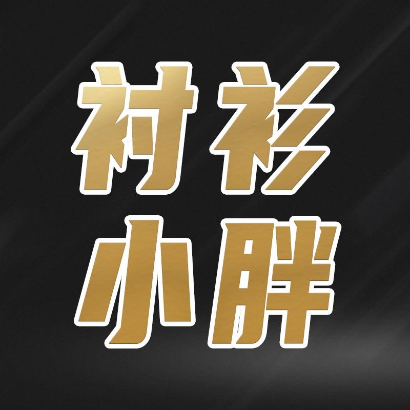 小胖衬衫服装服饰
