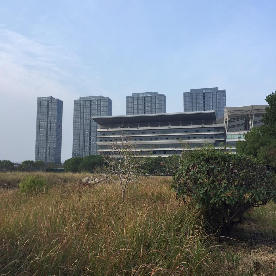 有缘人