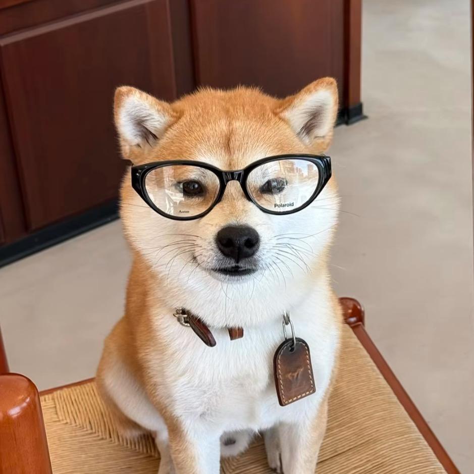 幸运两条鱼