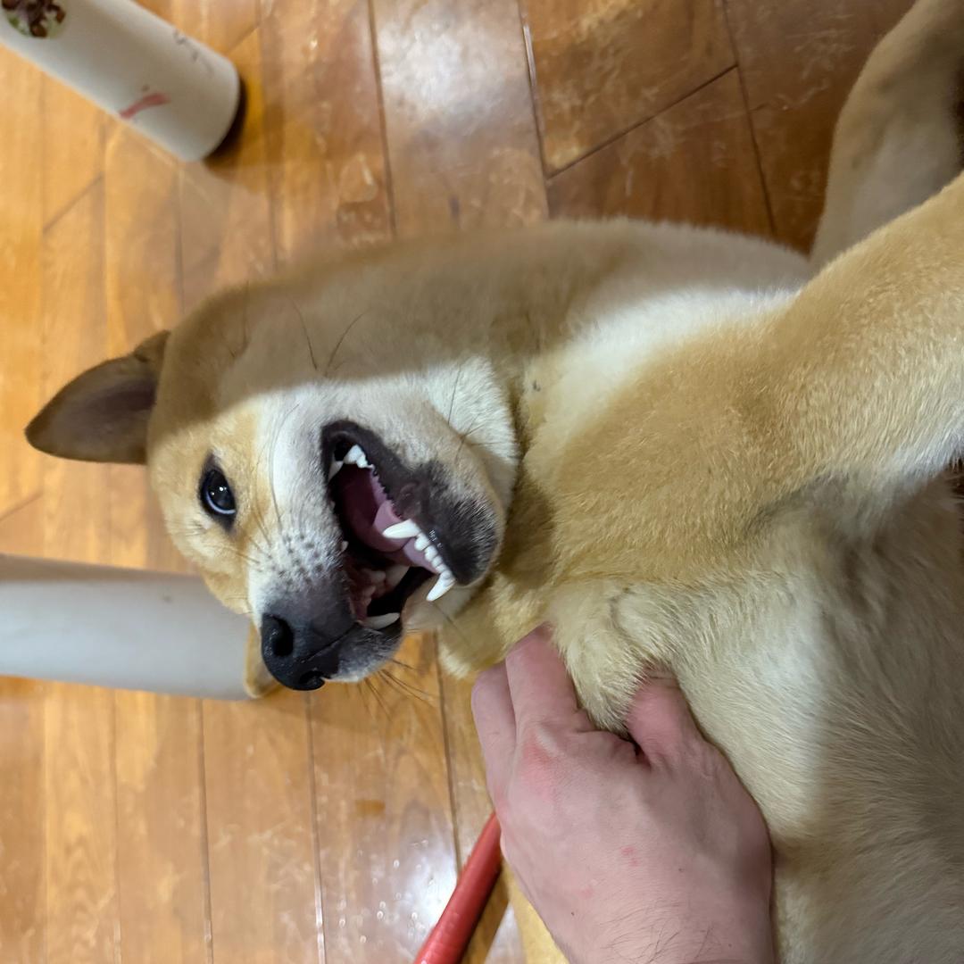 皓起时代