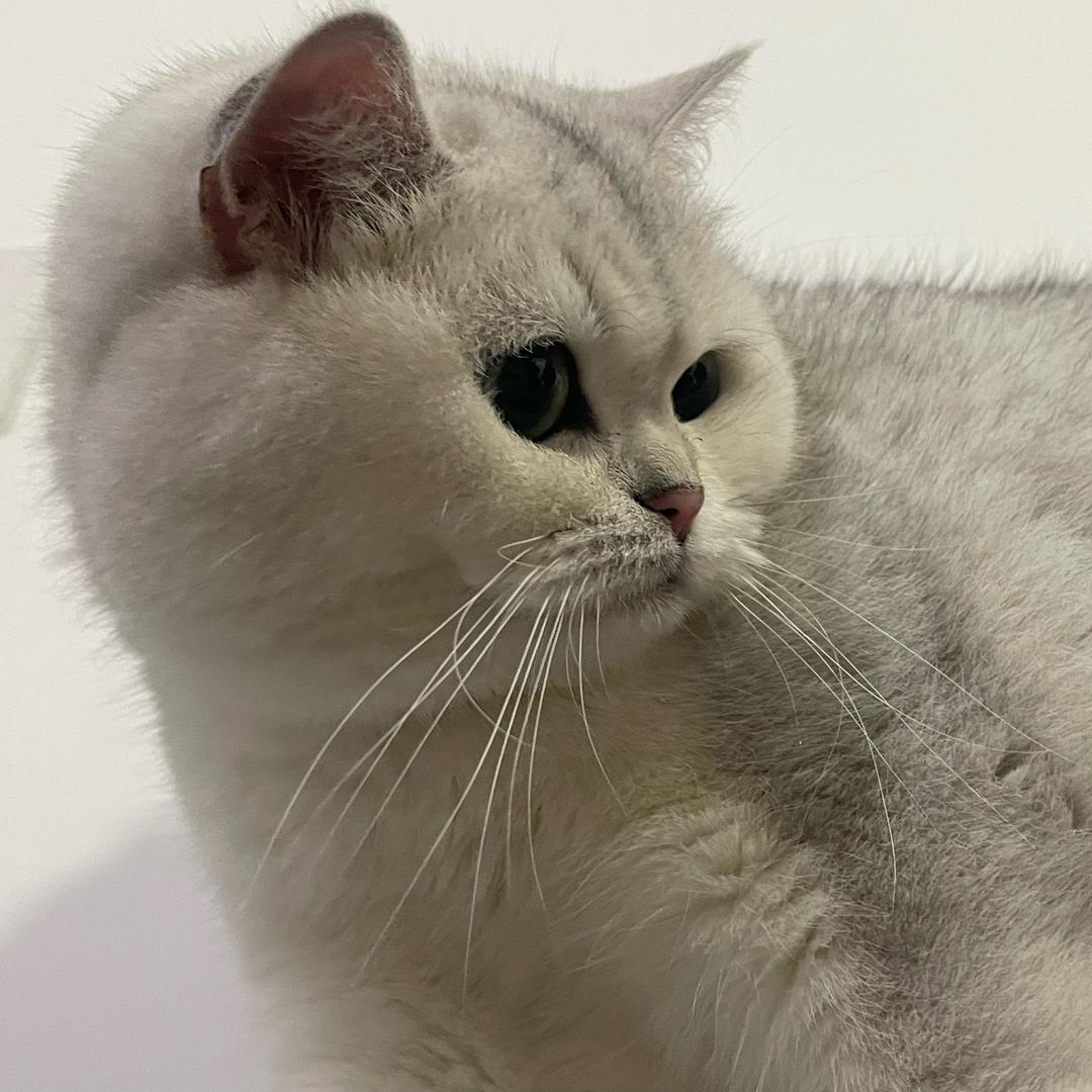 💗