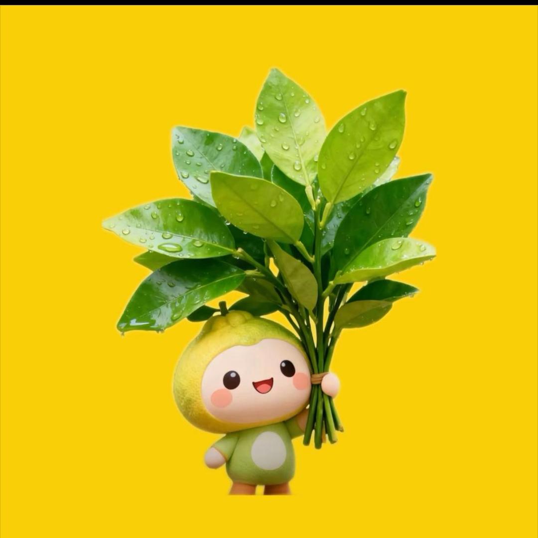 安静6