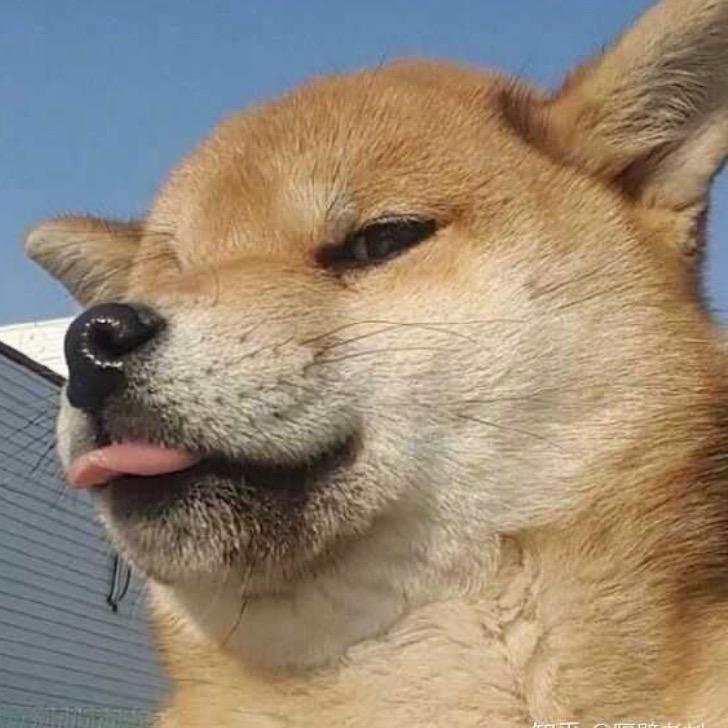 俩岁