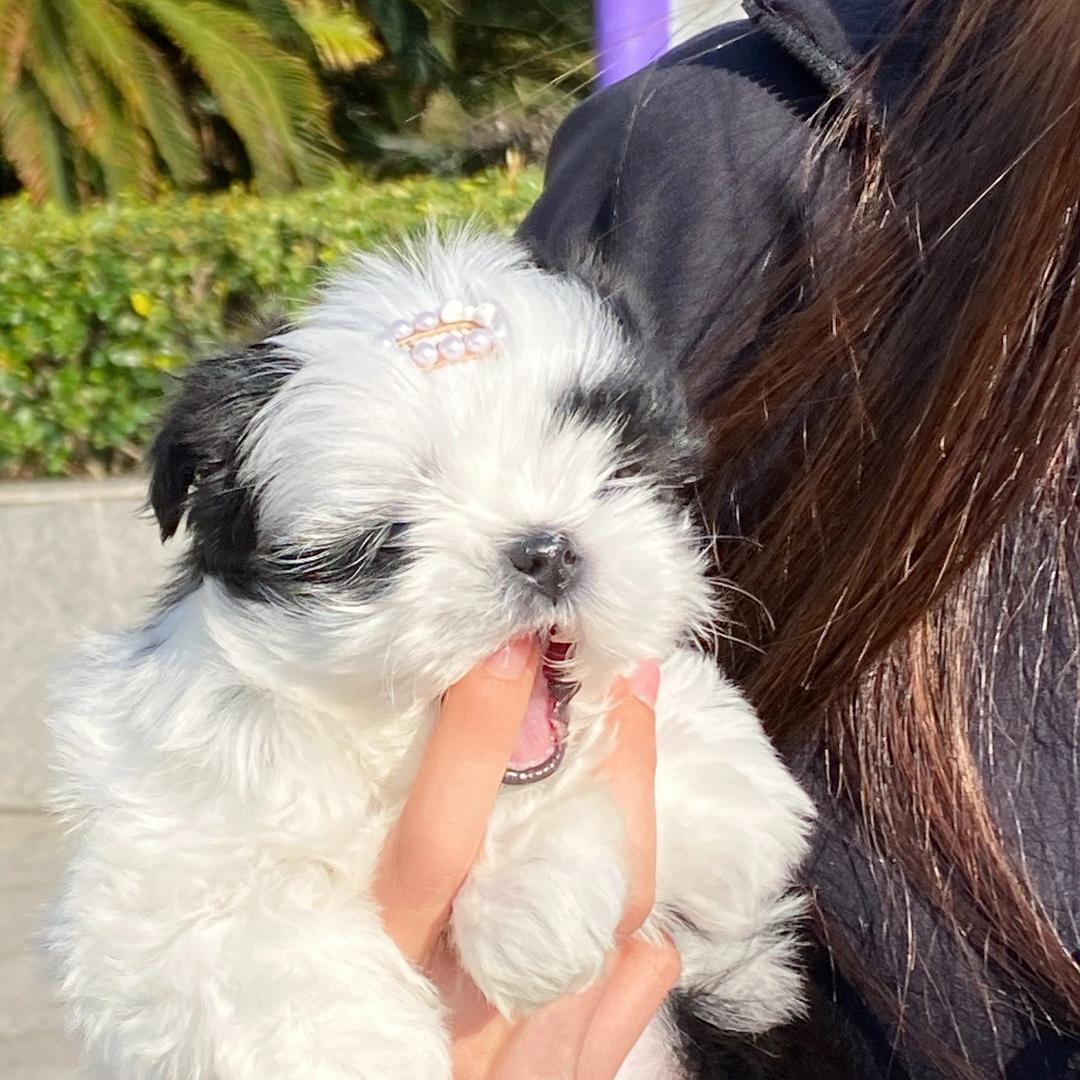 冰 心💓