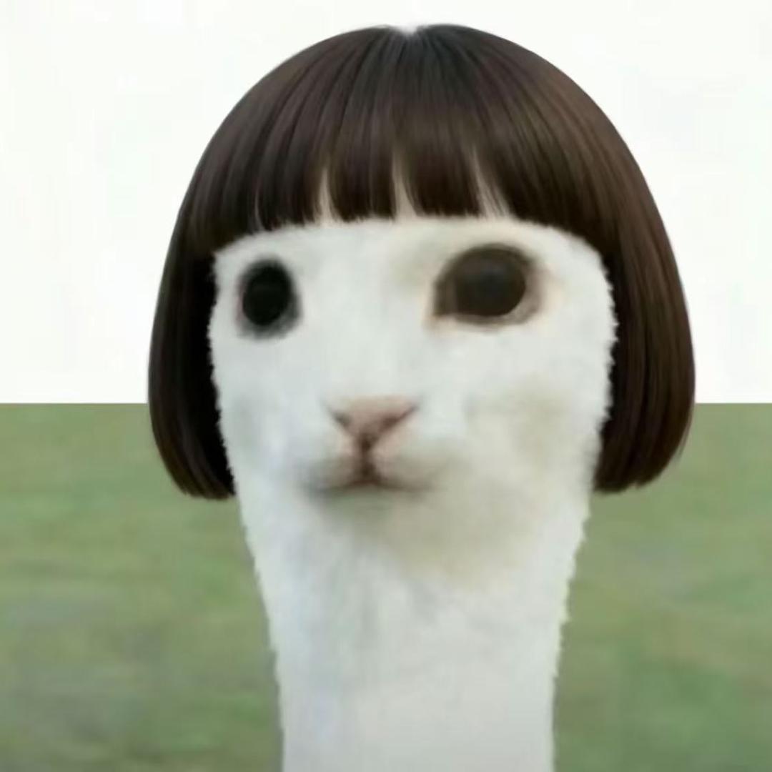 qovoi