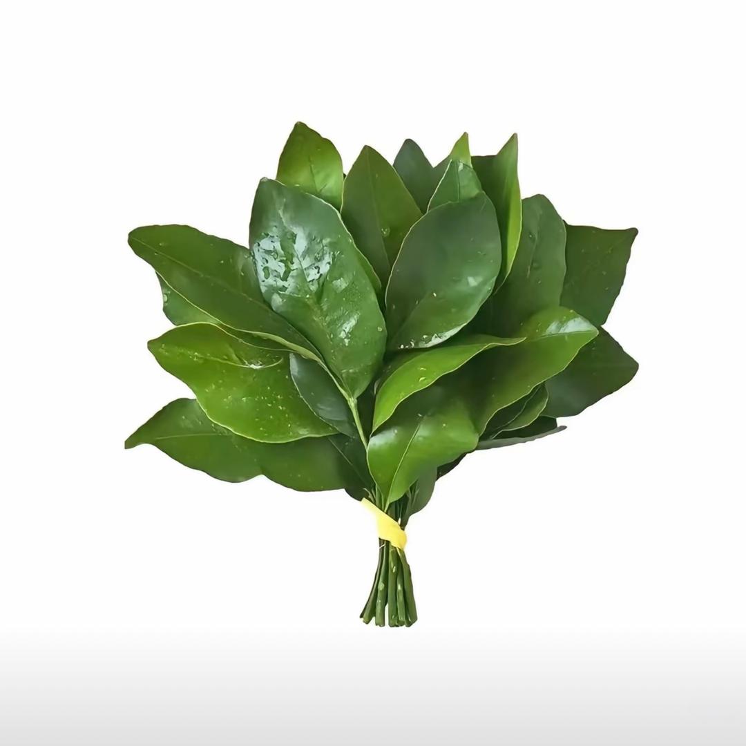 珍不乖'