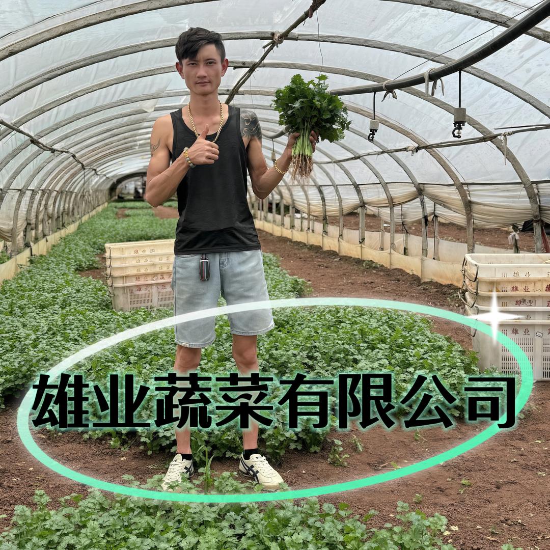 云南雄业农业有限公司