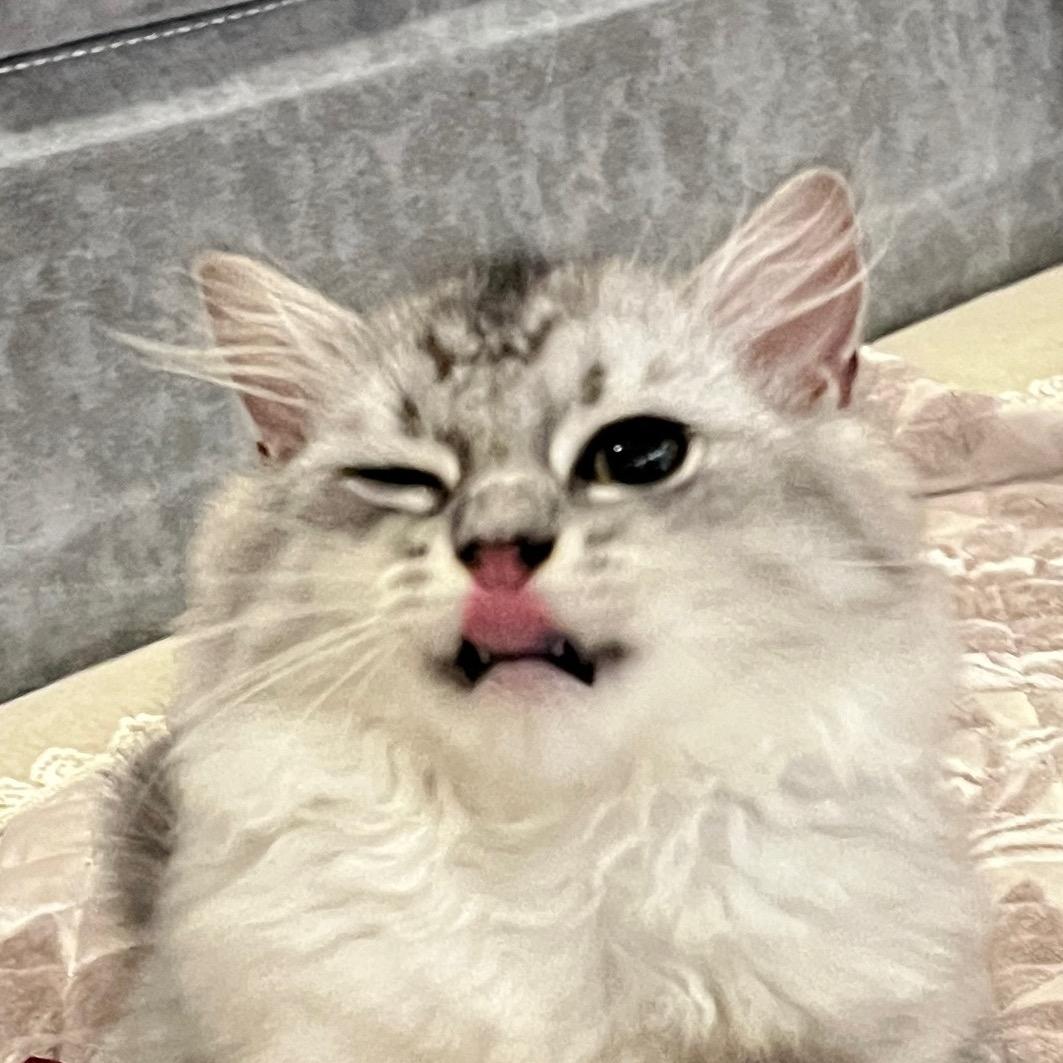 橙.