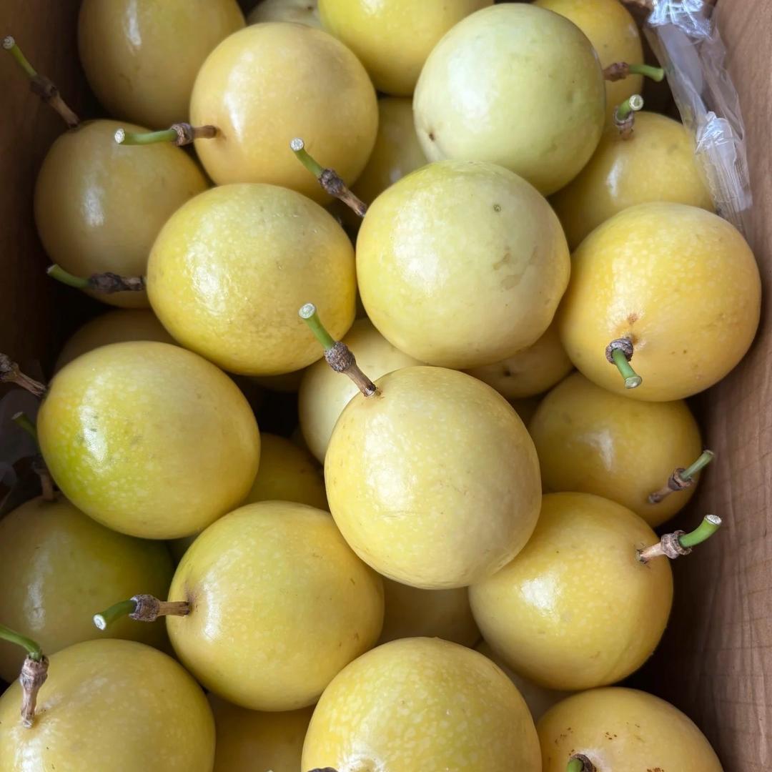 广西南宁百香果供应链基地