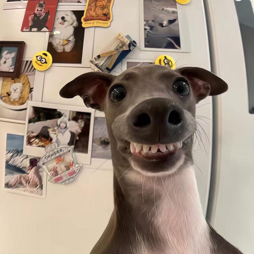 热心市民张大炮