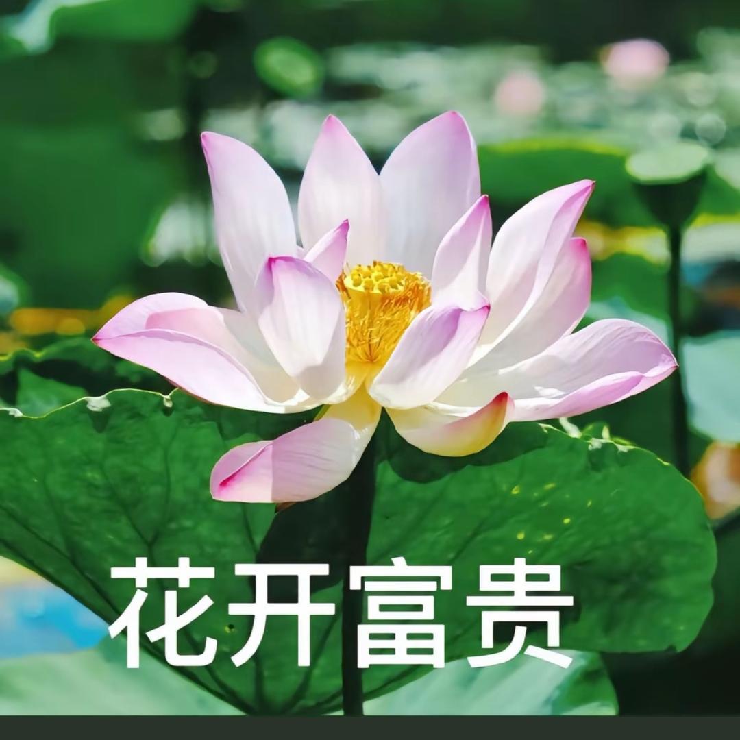 六月