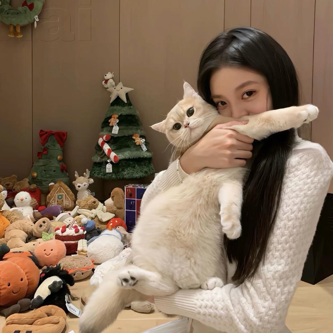 1只西