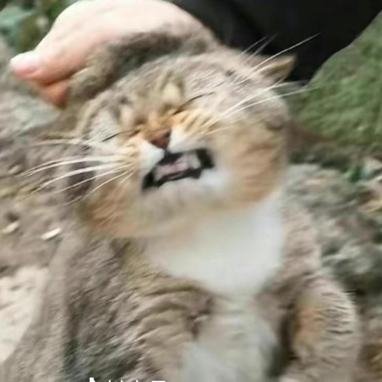 默默