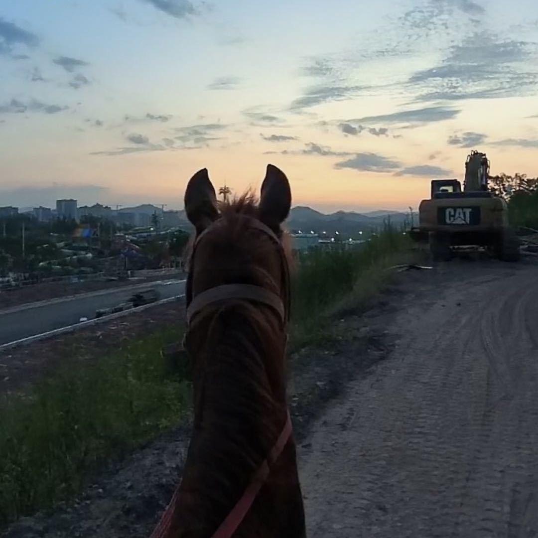 黑豹马场官方号