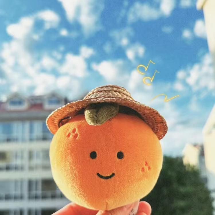 橙子百宝袋