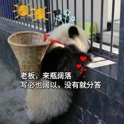 崽啊～头像