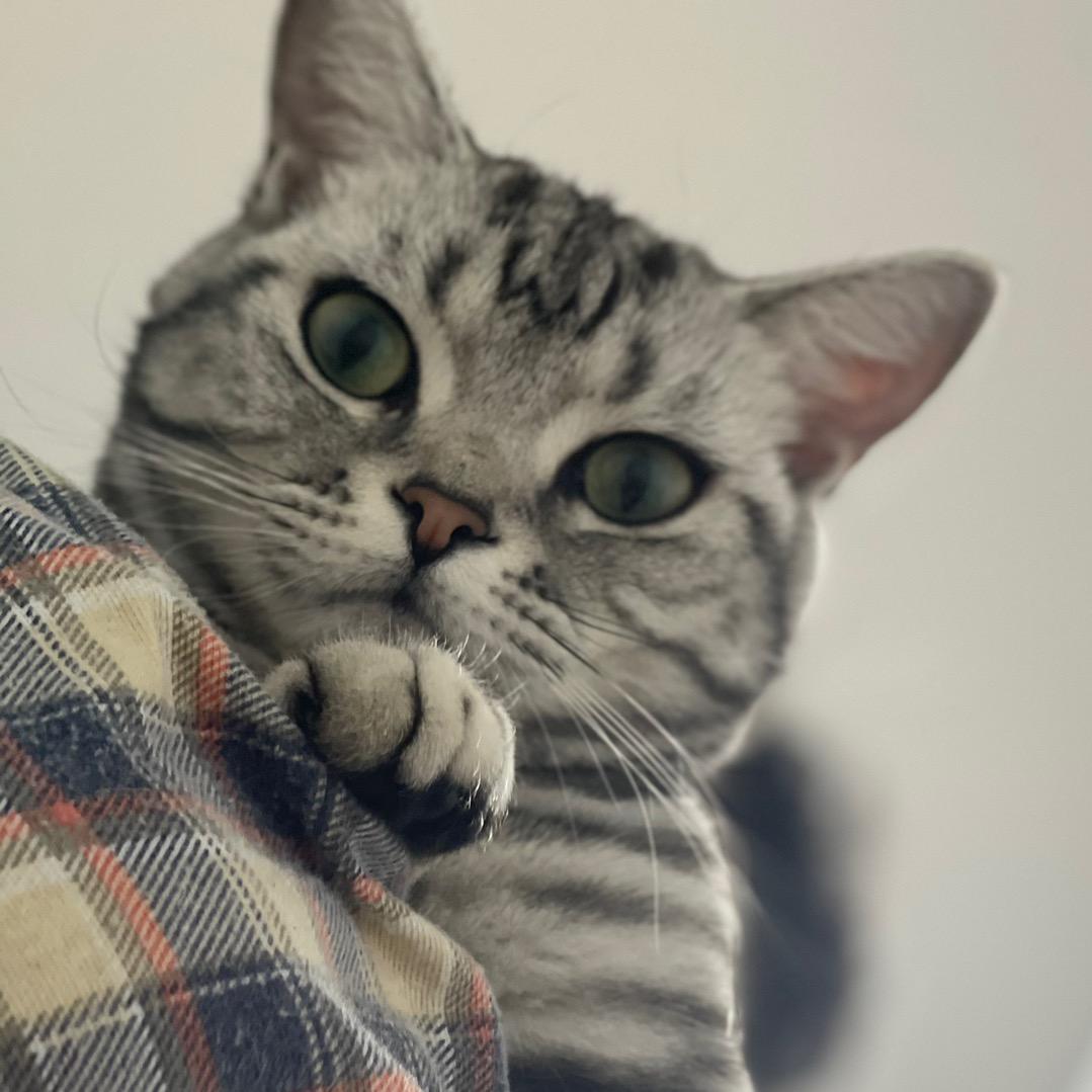 樂🐾优
