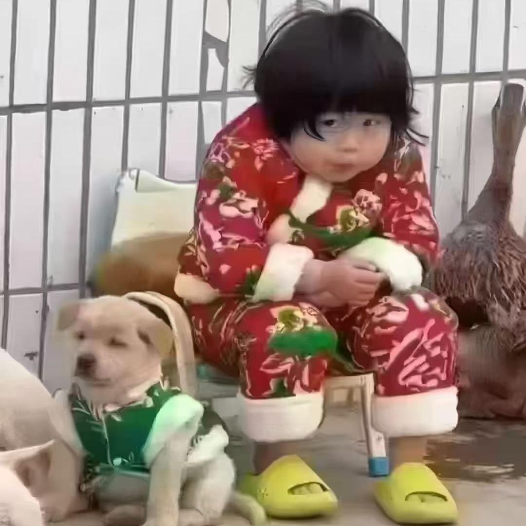 戴