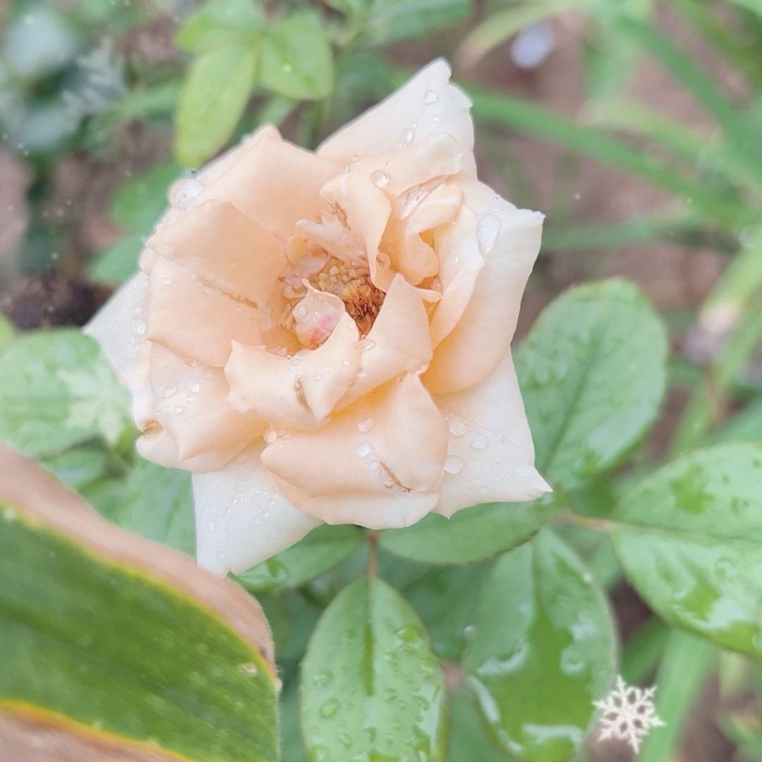 青山绿水好农资