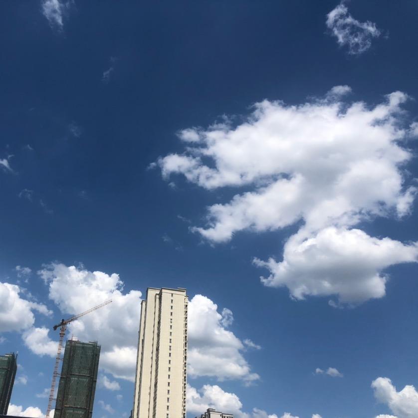 凤乘西南