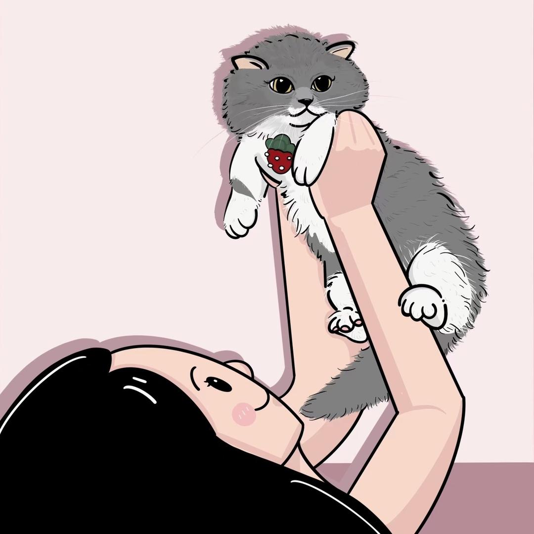不吃鱼🐟干的猫