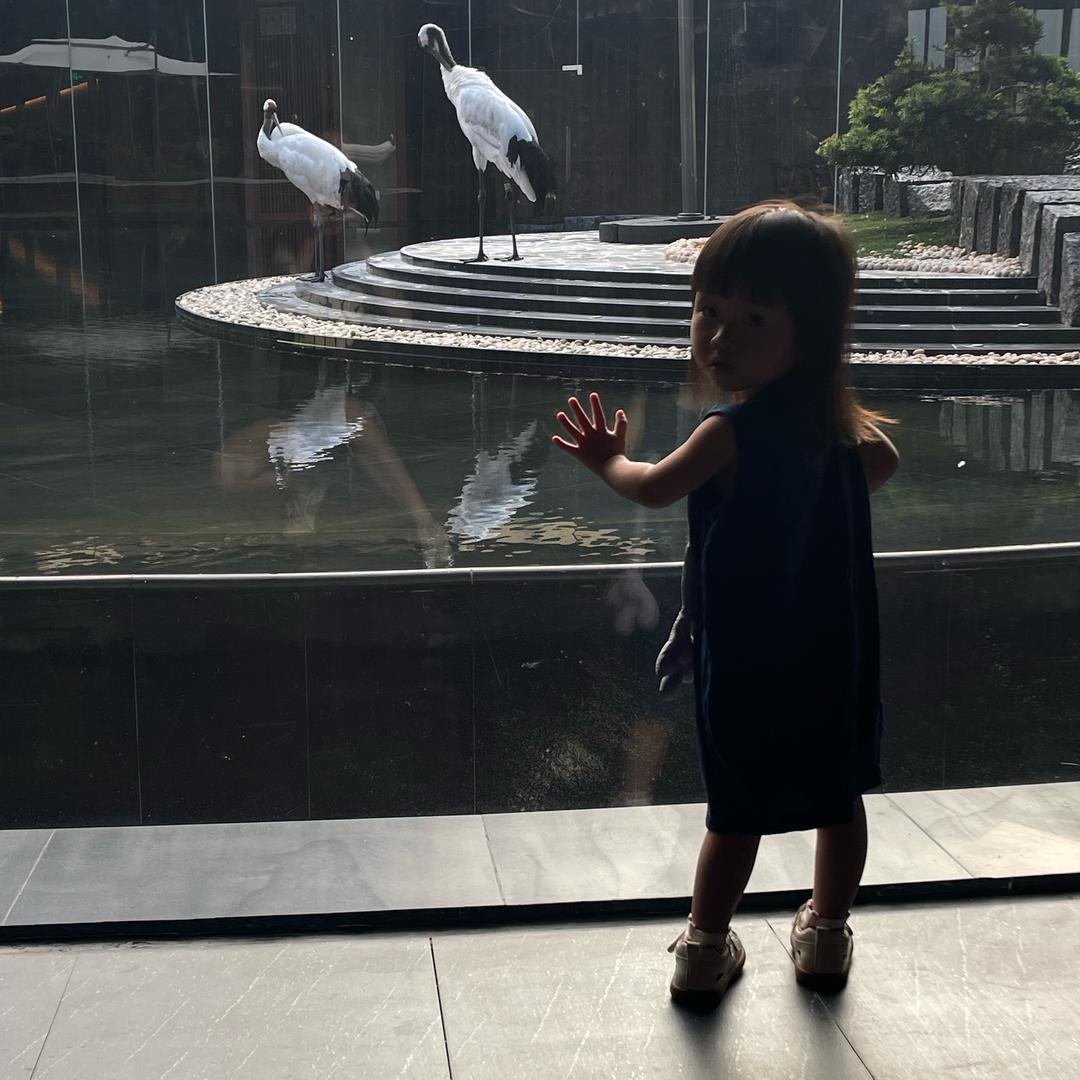 福建炒饭同乡会