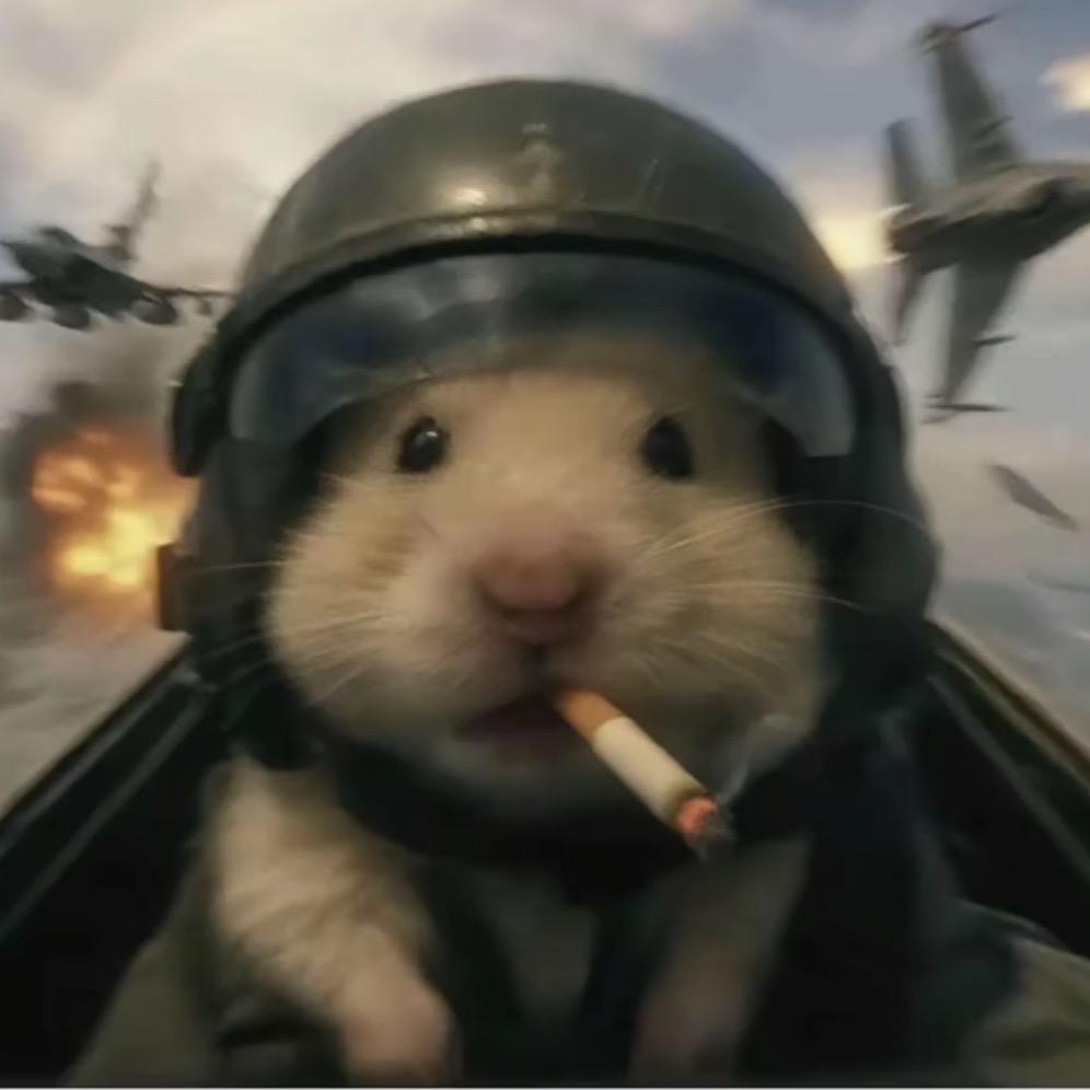 埋头苦干的小小怪下士