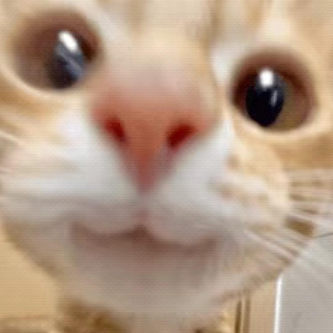 咋了