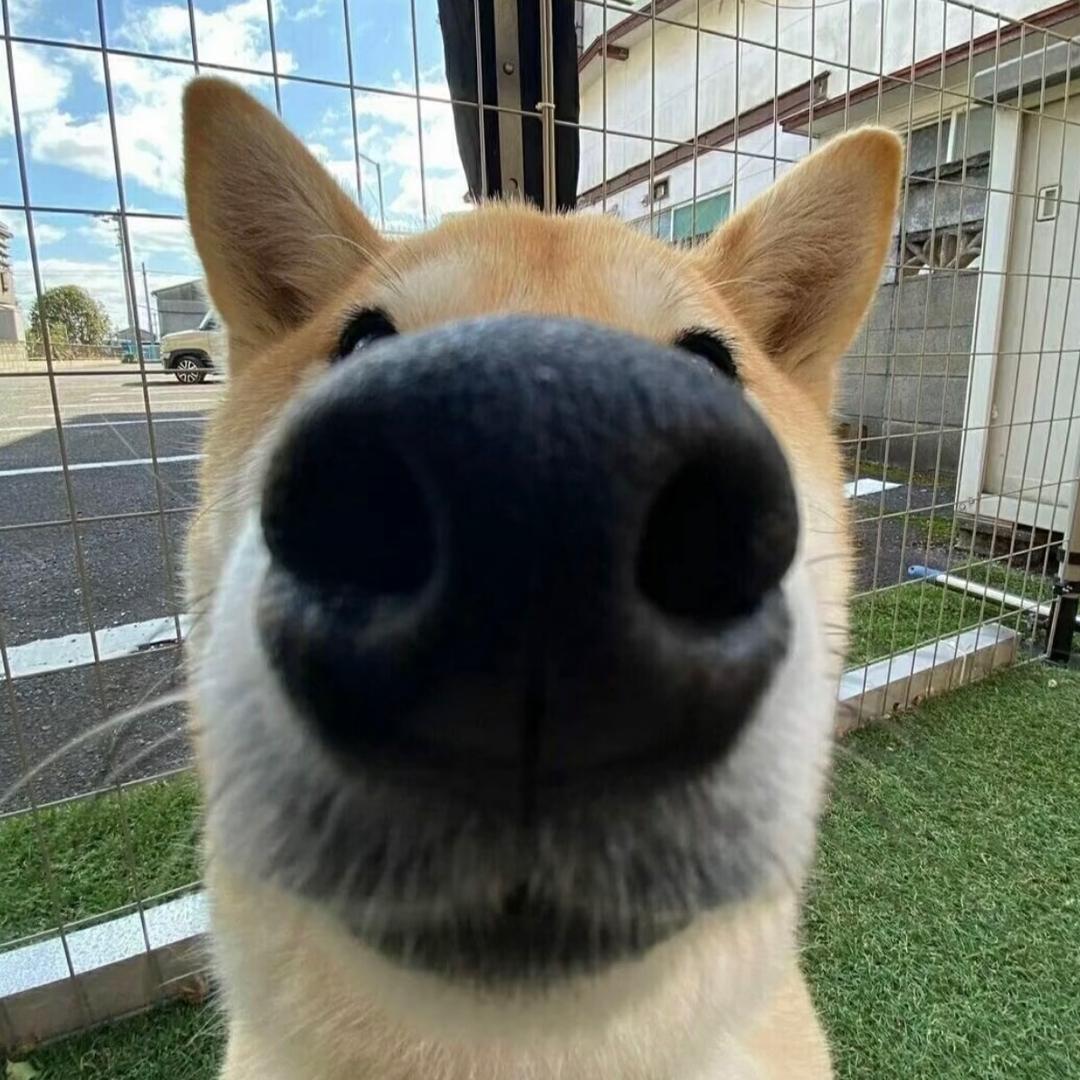 －