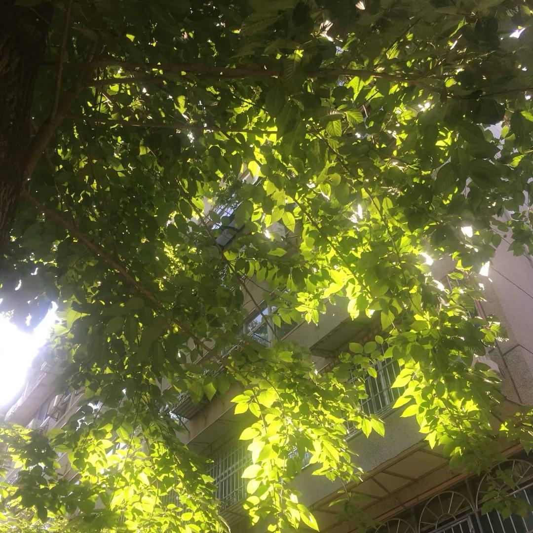 风和