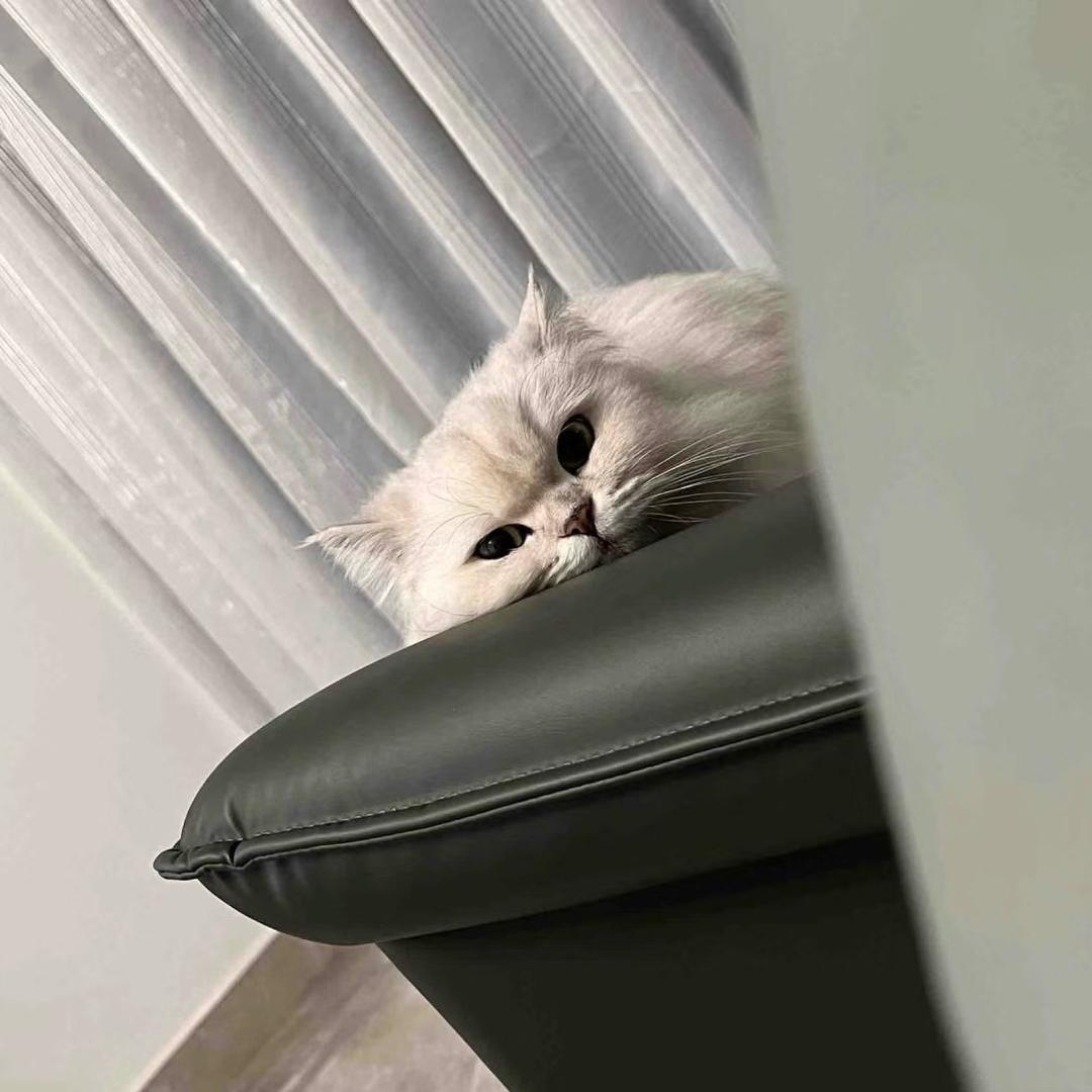玛卡巴卡