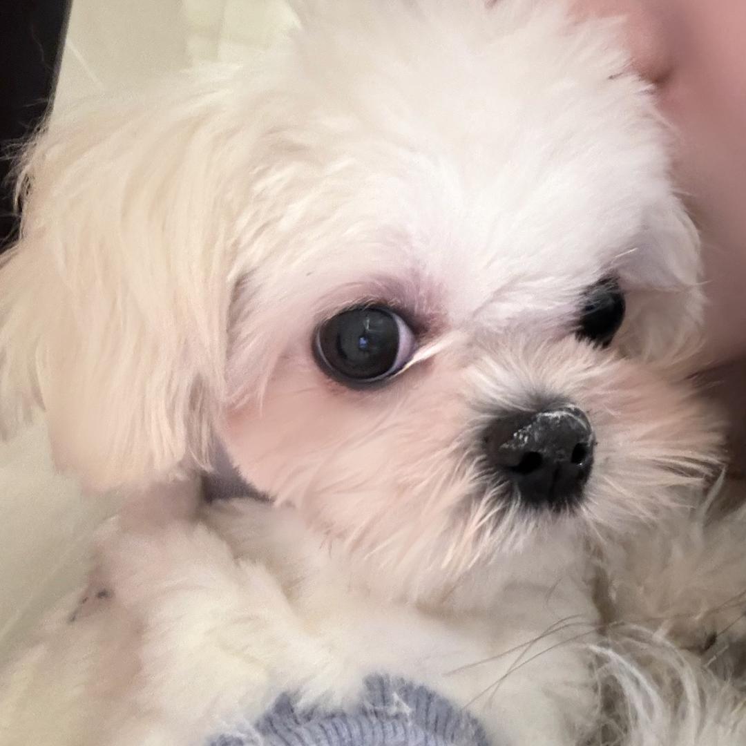 奶熊～