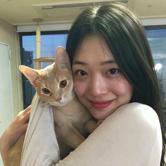 不会失眠🙈