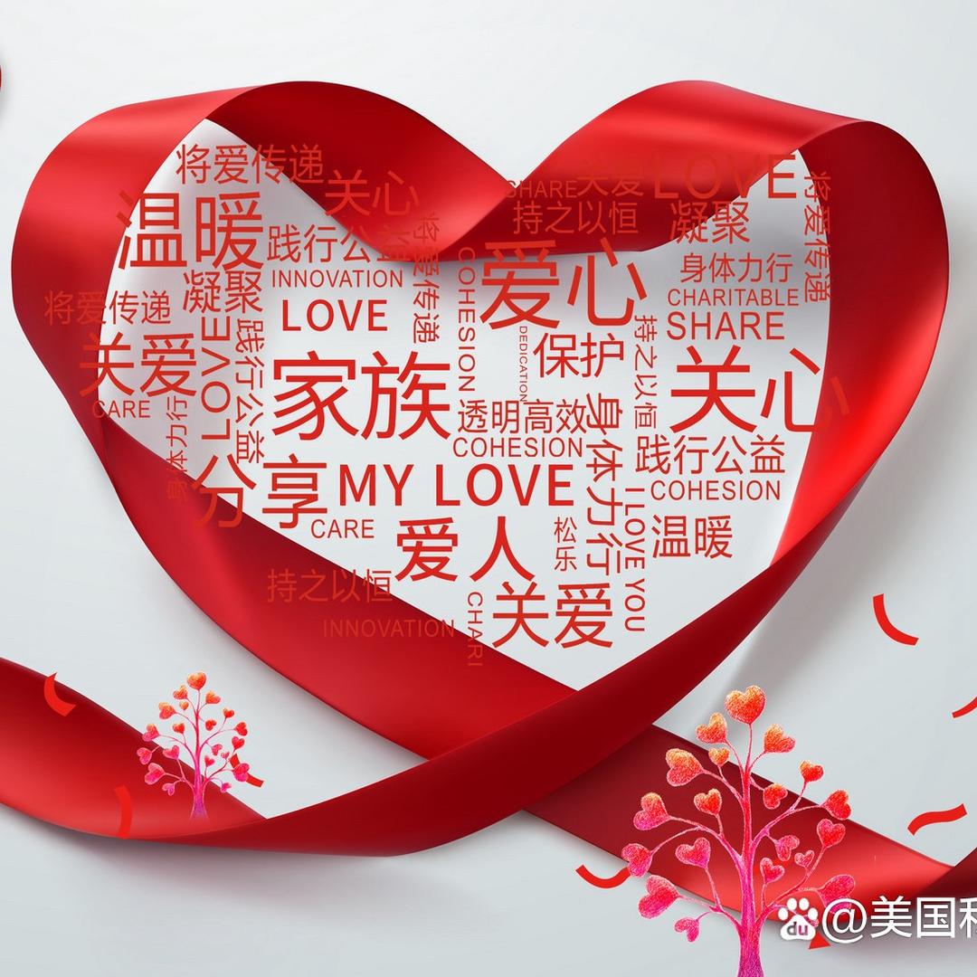 善心有为慈善助残