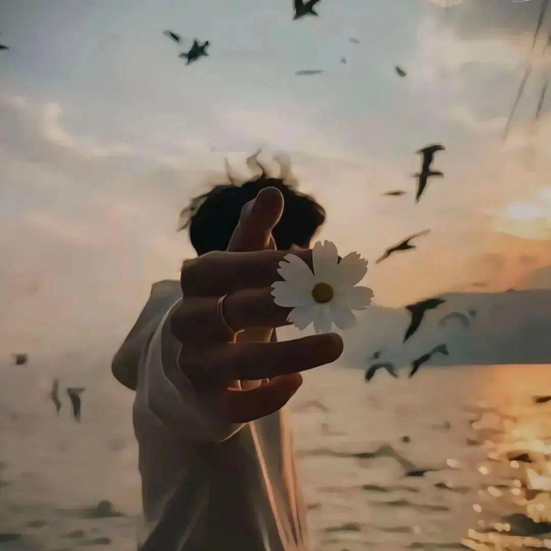 沐辰🏝️
