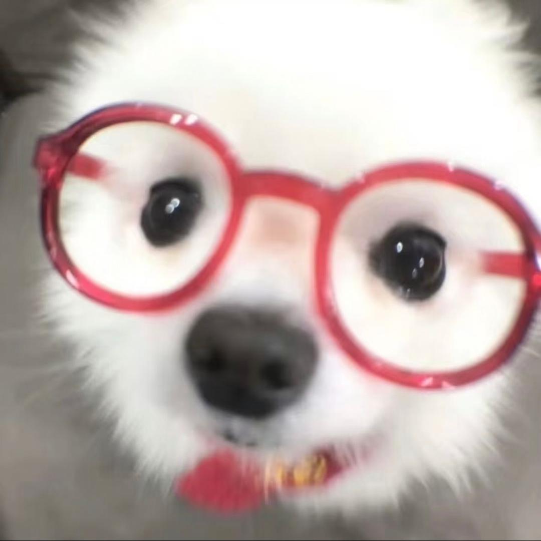 허단홍 사랑해요💜