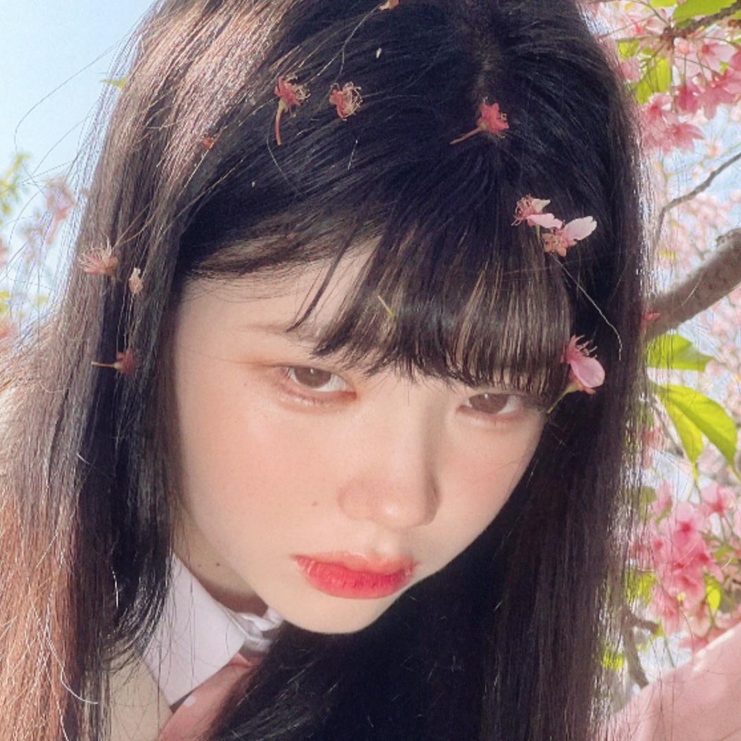 白苏斋