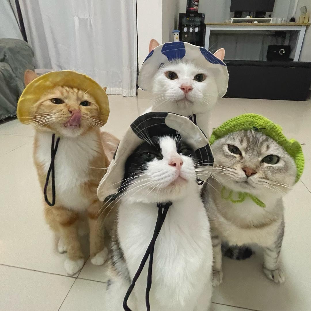 唔知搞咩