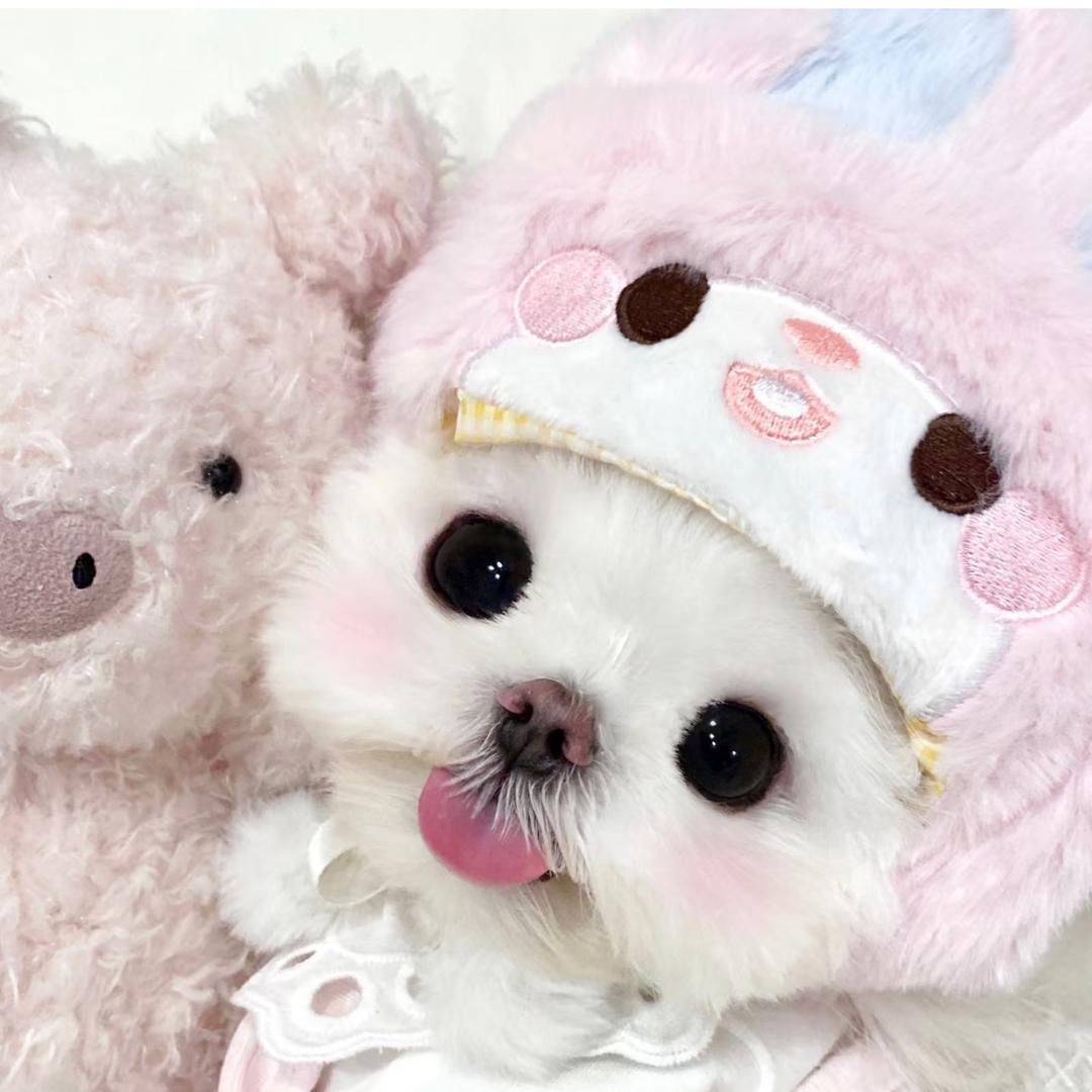 小星星🎀
