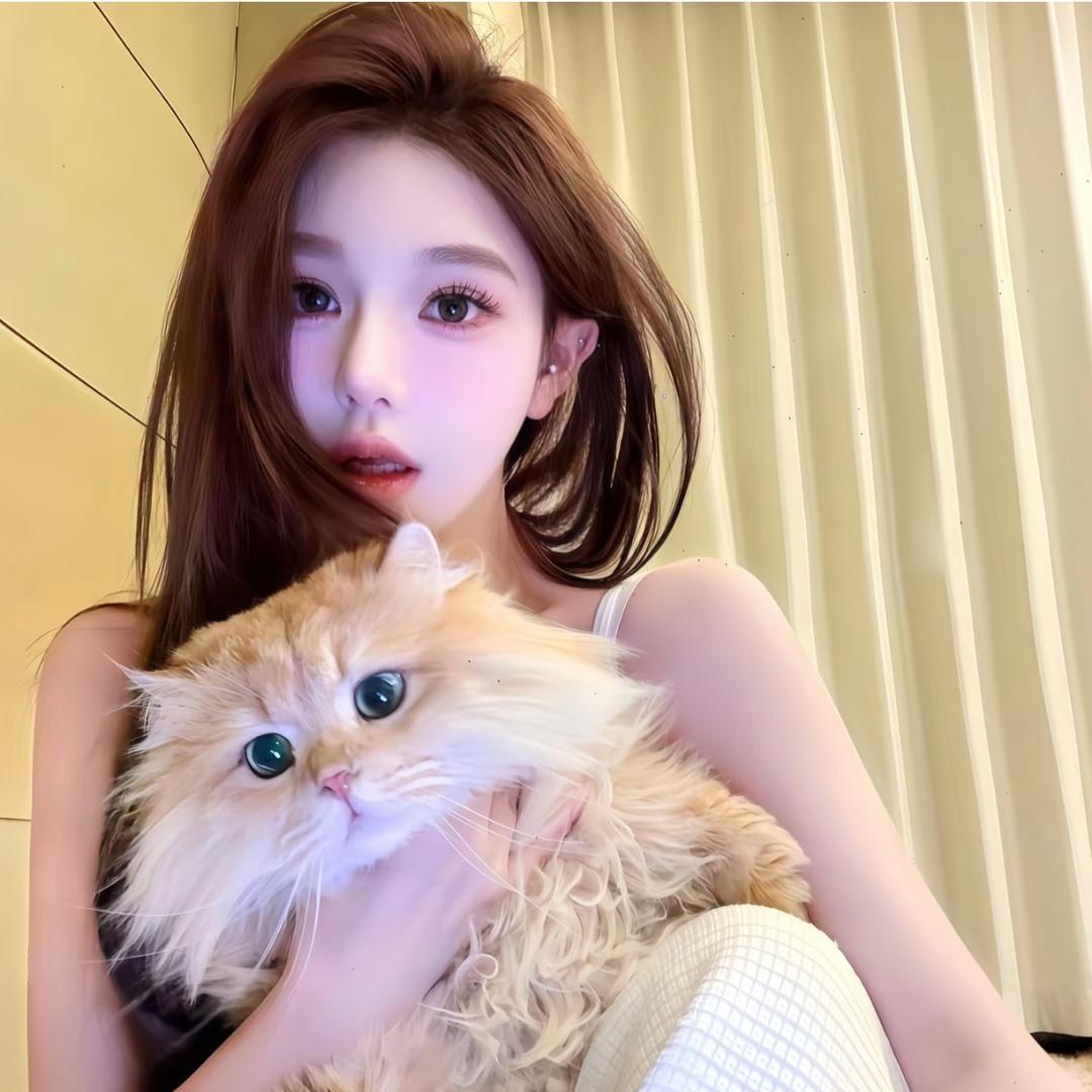 刺 猬 小 姐 🦔