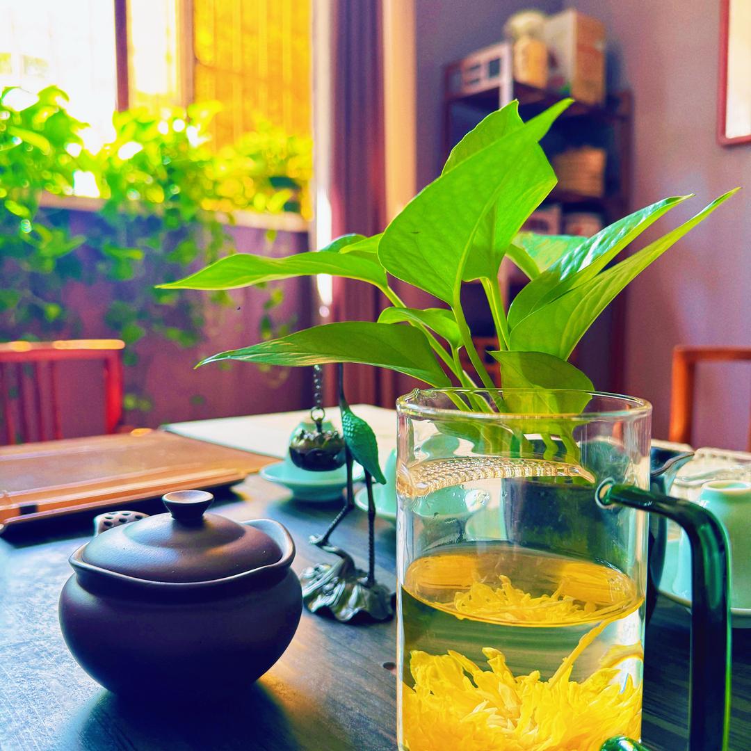 卖茶🍵的～小吉