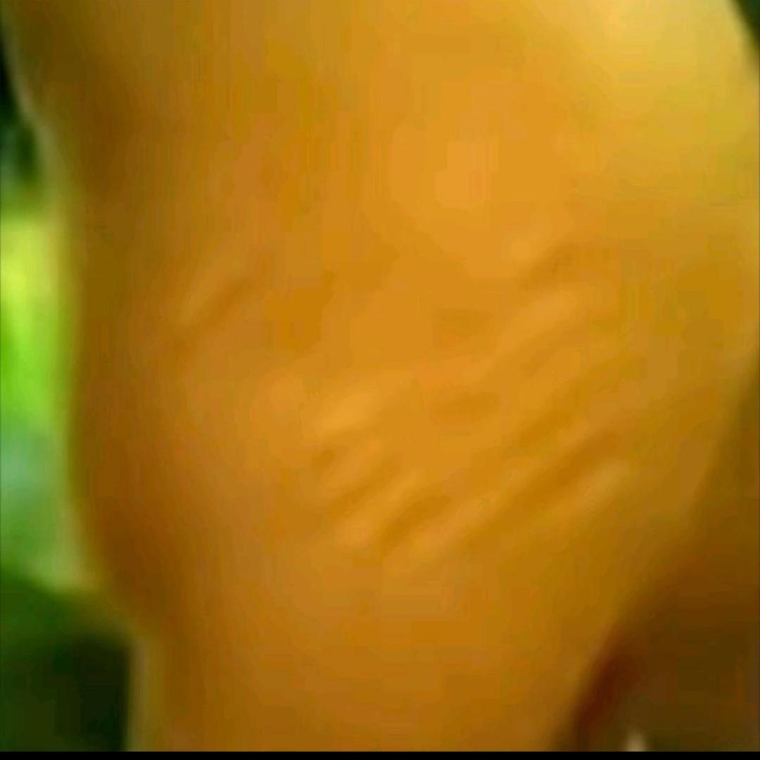 小锦