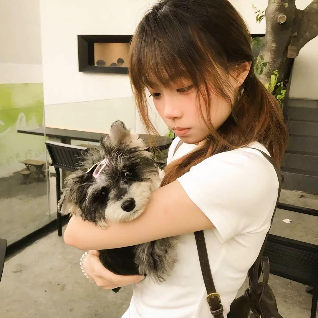 重生之我在贵阳当老师