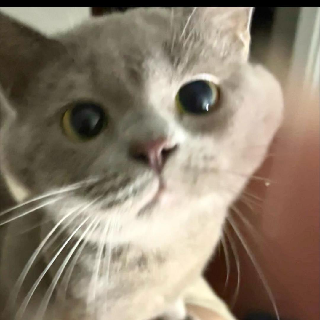 不瘦三十斤不改名