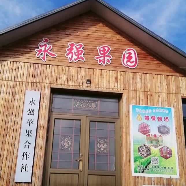 永强果园黑哥