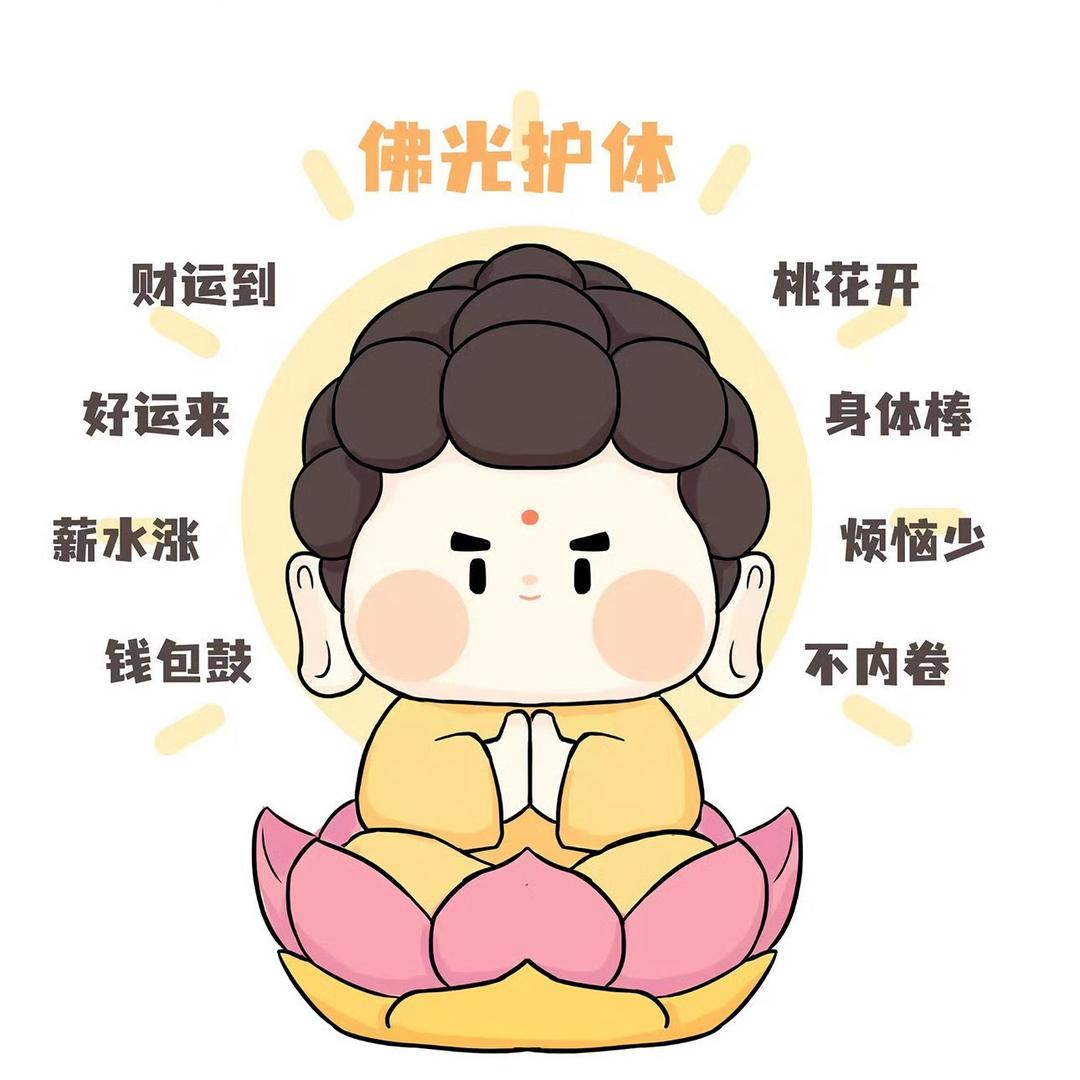 财税康姐