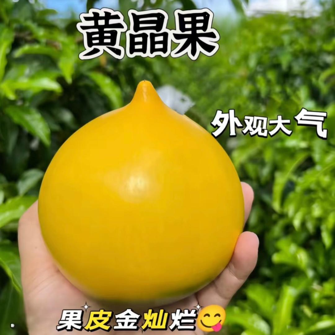 颜生果苗场