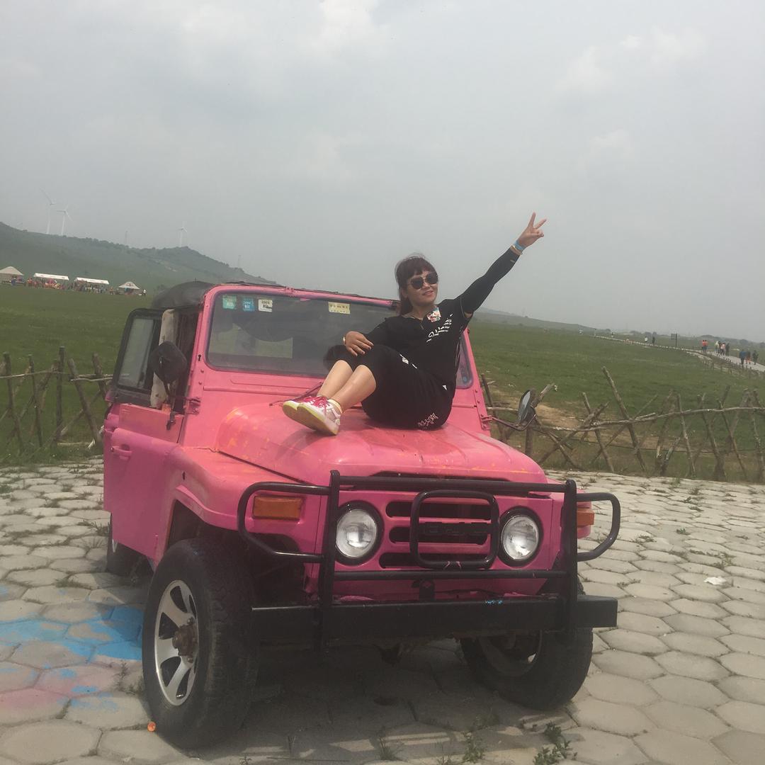 艳丽