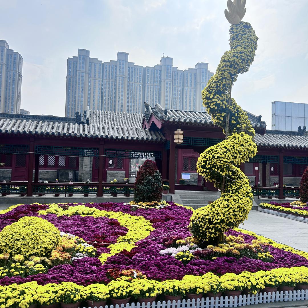 小可爱@