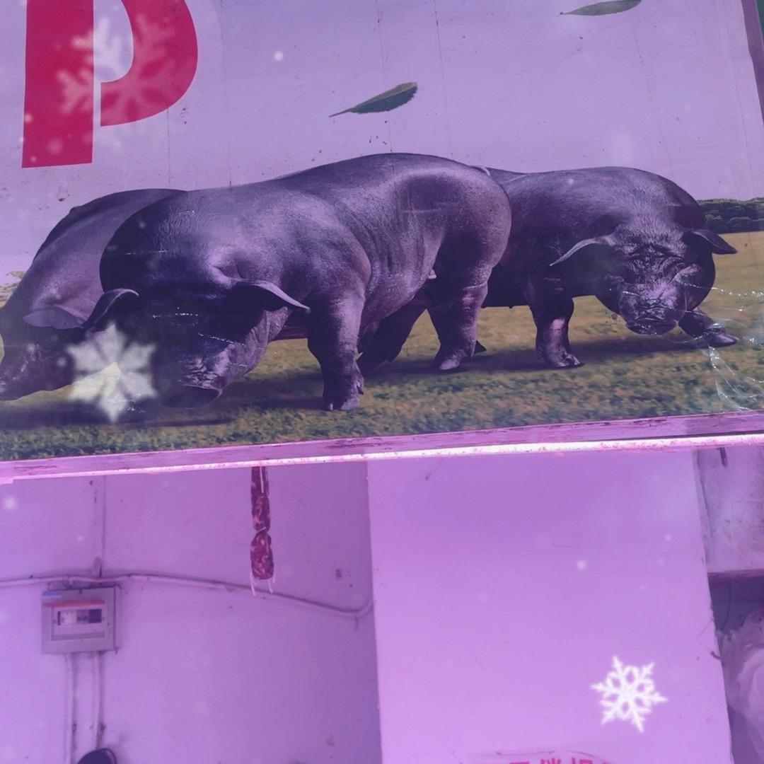 宝山猪肉哥